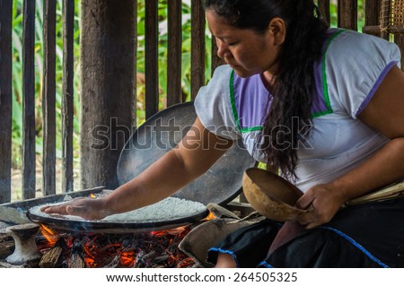 CUYABENO RESERVE, ECUADOR  JANUARY 31, 2015: Siona woman preparing yucca bread (cassava) in a traditional way using only natural ingredients and hand made tools.