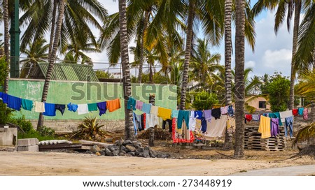 Colorful clothes drying outside in Isabela Island, Galapagos. Ropes between palm trees make a great place to hang  the washing.