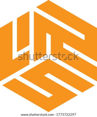 hexagonal logo vector. text logotype lrs