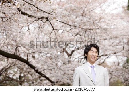 Business man walking under the cherry tree