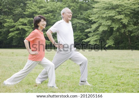 The elderly couple stretching in the park