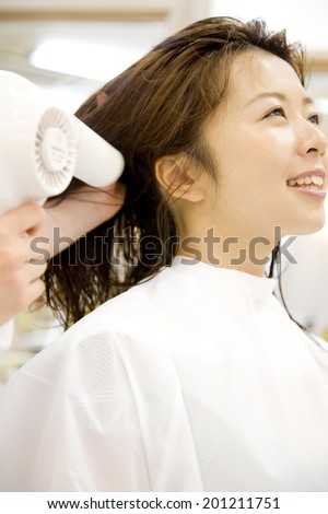 The hairdresser drying the woman\'s hair by a dryer