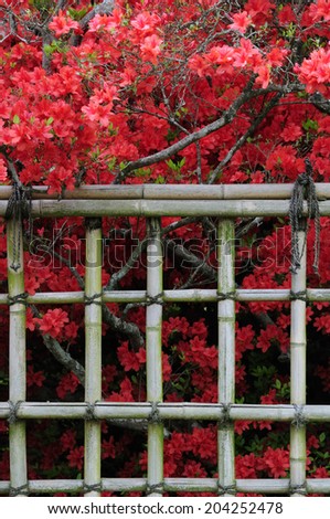 Flower And Bamboo Fence