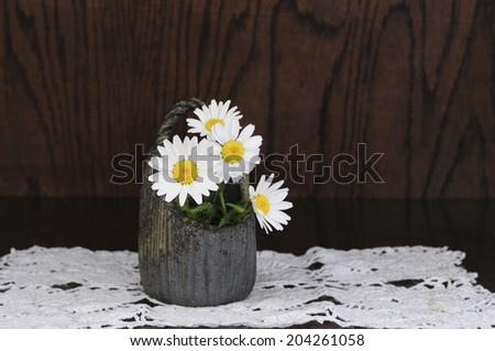 Flower Of North Pole Placed In Pottery