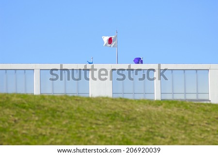 An Image of Japanese Flag