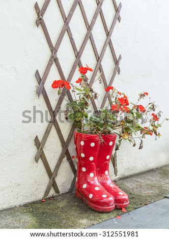 An image of a Red and White planter playing host to a Red Geranium plant.