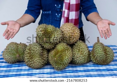 Closeup gardener presents durian fruits. Concept : organic agricultural products. Farmers grow durians for eating or selling in Thailand. Seasonal and local fruits. Zdjęcia stock © 