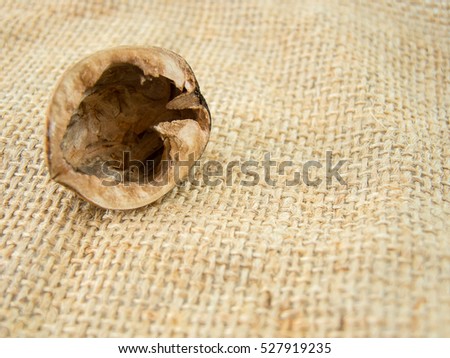 empty half nutshell on a patch of hemp bag Imagine de stoc © 