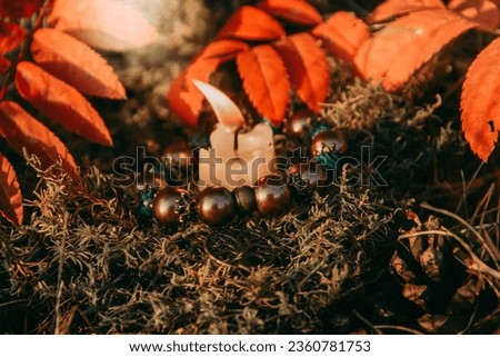 burning candle, a symbol of the moon, an amulet lying on the moss on a dark natural background. pagan wiccan, slavic traditions. Witchcraft, esoteric spiritual ritual . autumn equinox festival. Stock fotó © 