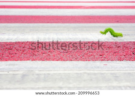 green worm walking on street. Facing a challenge concept