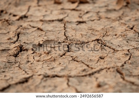 Image, Stock Photo arid soil in drought caused by climate change