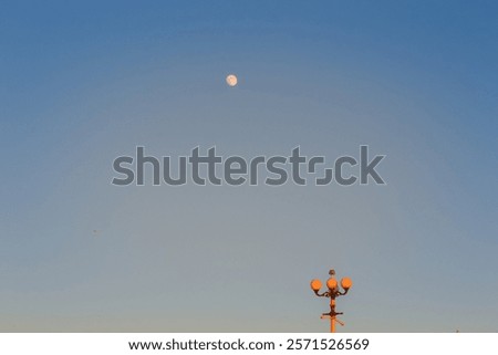 Similar – Image, Stock Photo Seagulls sitting in even rows on tree stumps