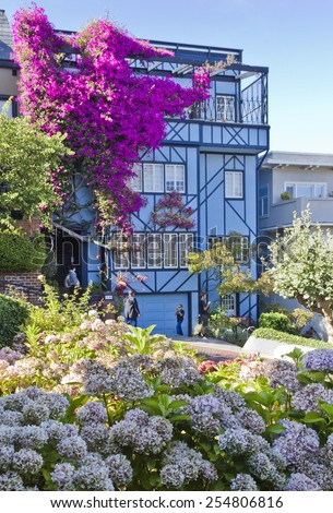 SAN FRANCISCO, USA - AUG 11 2013: The famous Lombard Street in San Francisco, famous for its steep, one-block section with eight hairpin turns. Close up of a blue house with flowers