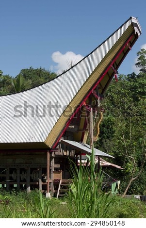 SOUTH SULAWESI, INDONESIA - JULY 4 2012: Close up architecture of a typical Torajan houses, called Tongkonan, in a sunny day