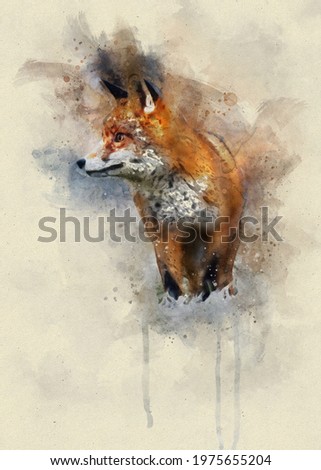 painting . Watercolor red fox drawing ..........