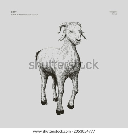 Similar – Image, Stock Photo Goat (Capra aegagrus hircus). Jandia. Fuerteventura. Canary Islands. Spain.