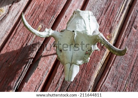 Animal skull hanging on the wall of a red barn