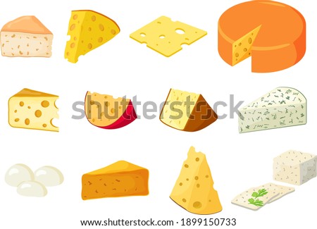 A set of different types of cheese.Cheddar ,mozzarella, maasdam,brie, roquefort, gouda, feta and parmesan.Cut into triangles and slices of delicious cheeses.Flat vector illustration in cartoon style.