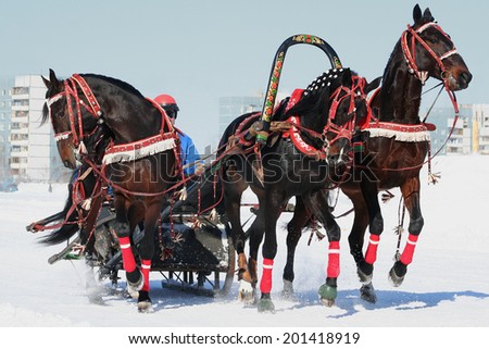 Troika The horses, beautiful Famous Russian horse trio \