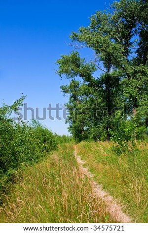 Take this path on a hot summer day to go back home from bathing in a river. This is country life of Belarus.