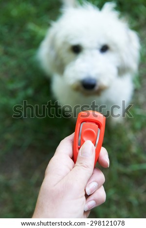 Pet Owner Training Dog Using Clicker