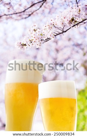Beer (cherry blossoms japan)