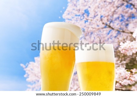 Beer (cherry blossoms japan)