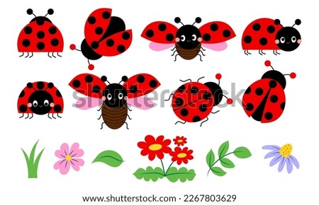 Cute cartoon ladybug collection with flowers and leaves, red beetle with dots. Funny love bugs, flower buds and foliage pack bundle for spring collections.