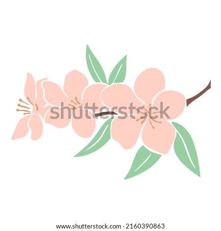 Similar – Image, Stock Photo Apple tree blossom isolated on dark grey background, close up macro. White delicate spring flowers. Black and white monochome floral background with petals and pollen petals