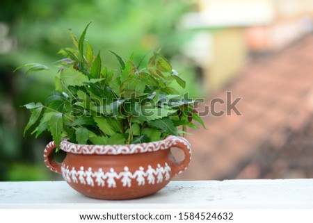 Shutterstock Puzzlepix