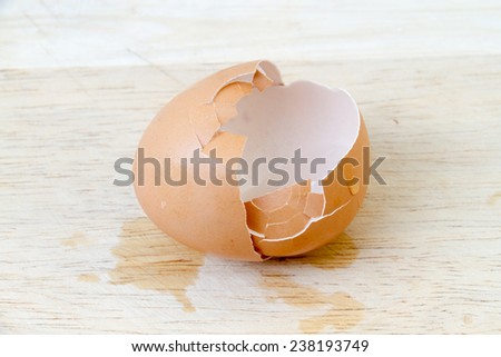 egg shells on the wooden floor.