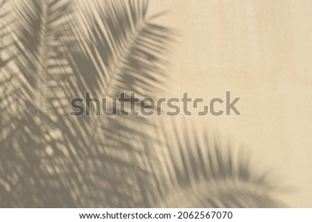 Image, Stock Photo shadow cast Building