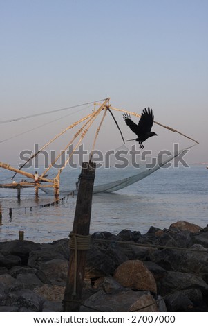 Flying bird against a background of chinese fishing net