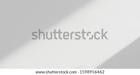 Background shadow and Nature shadows.Gray shadows trees leaf on white wall. Abstract shadows nature concept blurred background.White and Black.Texture shadows
