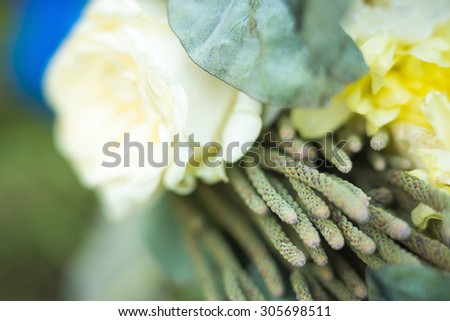 bouquet of eucalyptus and white roses as a background