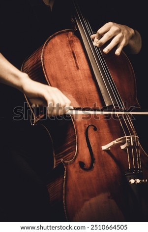 Similar – Image, Stock Photo Close up cello Cello