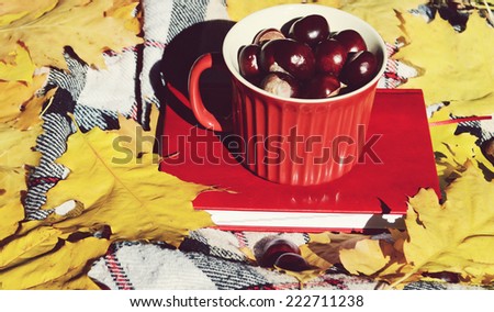 chestnuts in a bowl,autumn,autumn themes,yellow leaves,the sun,book,diary,tartan plaid,