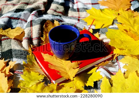 Autumn concept, picnic in the park, in the woods, a notepad, a cup of hot tea, coffee, sweets, plaid