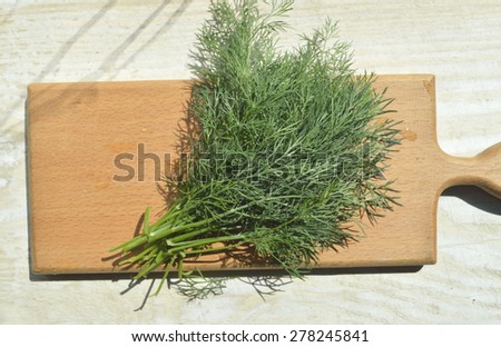 young, natural, organic fennel on a kitchen board