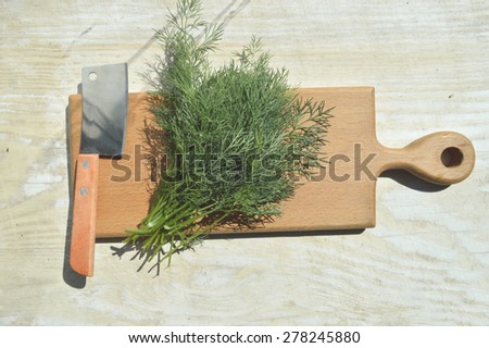 young, natural, organic fennel on a kitchen board