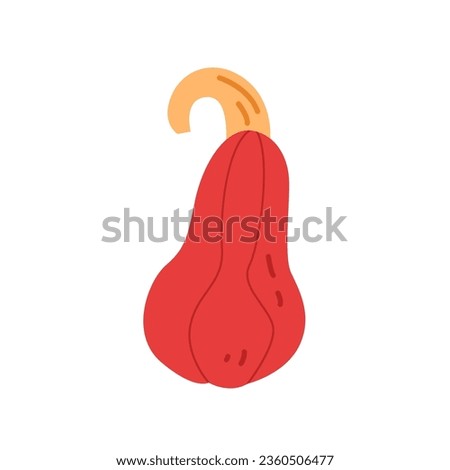 Red Pumpkin. Veggie for Thanksgiving. Autumn Vegetables. Fall Harvest in Flat Style. Vector Cartoon Illustration.