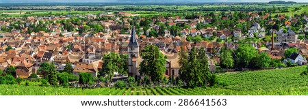 Wide panoramic view to Alsace vineyards, France. Nature and agriculture.