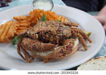 soft shell crab - Charleston, SC