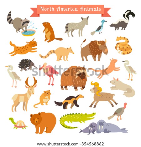 North America Animals Vector Illustration. North America Animals For ...