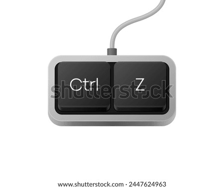 Ctrl Z or Copy Paste button combination. Computer Keyboard. Word on pc computer keyboard. Vector illustration.