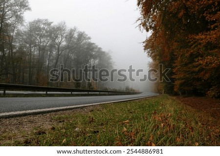 Similar – Foto Bild Wald in dichtem Nebel. Natur Landschaft Blick auf nebligen Wald im Herbst Saison