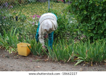 Senior enjoying summer gardening in her back yard.