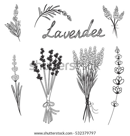 Vector Images, Illustrations and Cliparts: Hand drawn set of outline