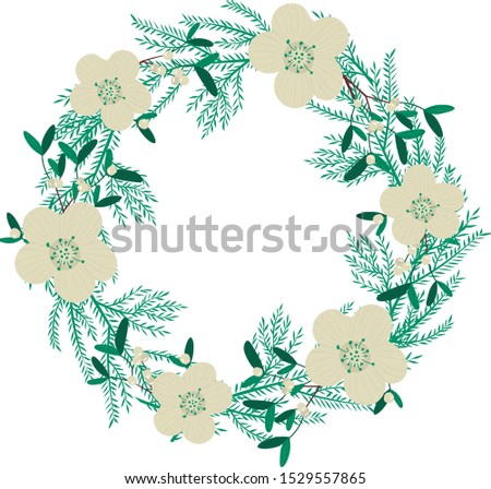 Vector floral wreath. Cristmas round frame with christmas star fir tree and viscum  Design for greeting cards, digital projects,scrapbooking, invitation, textile, packaging and festive projects. Zdjęcia stock © 