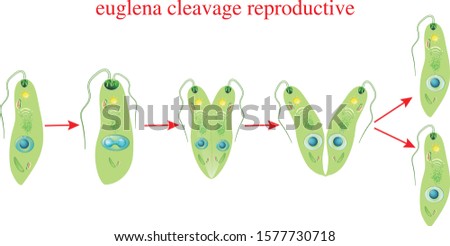 Shutterstock Puzzlepix